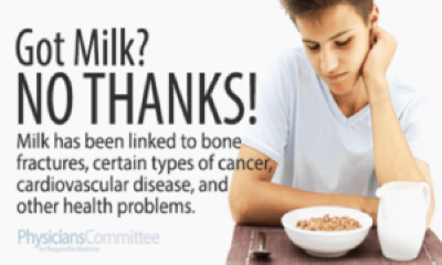 Is Dairy Milk Necessary in Adult Diets