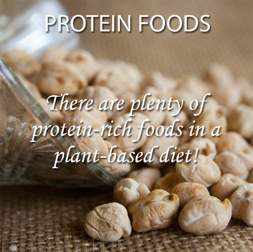 How Much Protein Do I Need