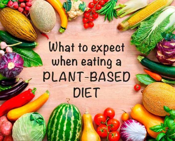 Benefits Plant-Based Diet