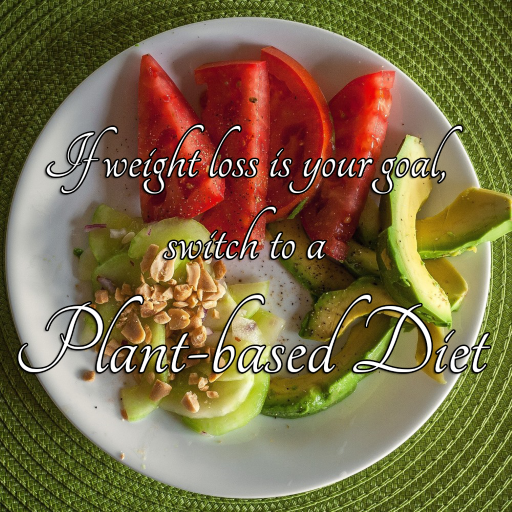Plant based diets for weight loss