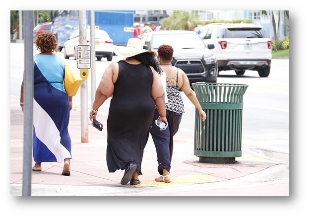 Obesity Epidemic results